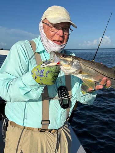 snook