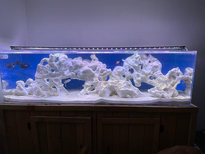 68566118632__42125865-F968-430D-92C5-8E0AE57DBF61