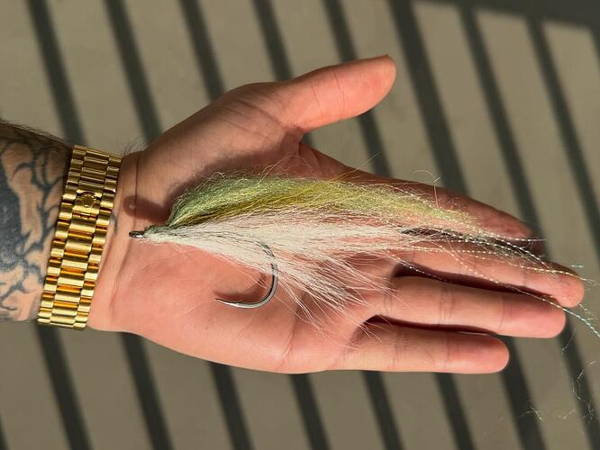 7B210A56-A583-4D08-B9CB-A071551C487F