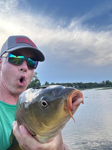 cg carp 1