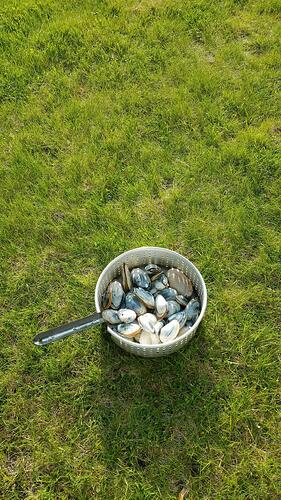 b1bd62c9-868a-4ca0-9d66-27f4096f19bd-1_all_2155