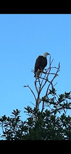 IMG_2023