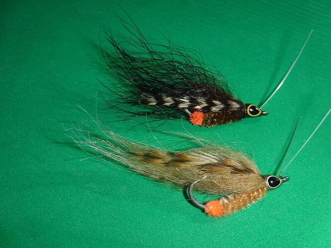 Snapping Shrimp (my version in two colors...)