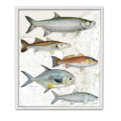 floridasuperslamwhiteframe