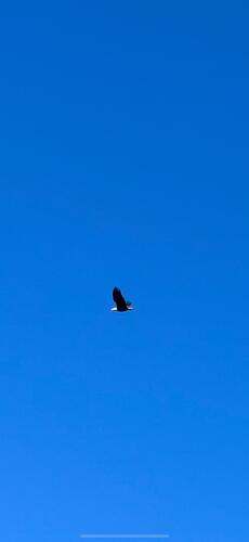 IMG_2006