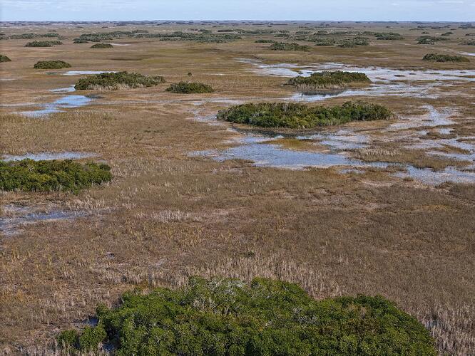 dji_fly_20250105_132932_0201_1736202373202_photo