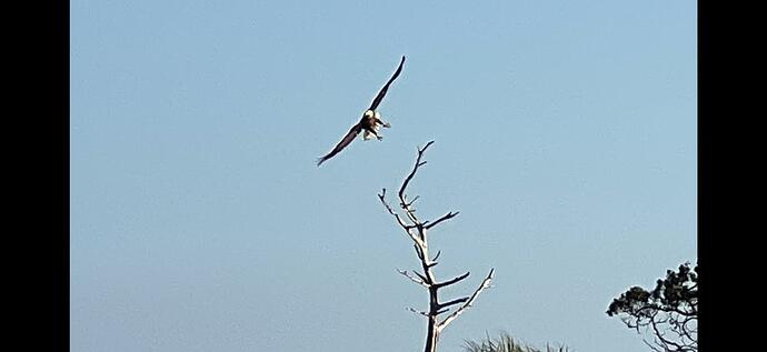 IMG_2020